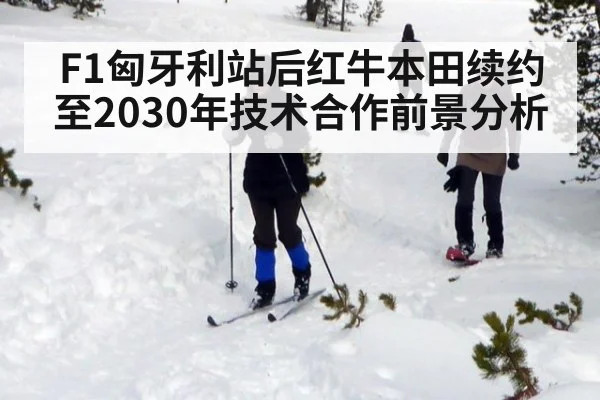 F1匈牙利站后红牛本田续约至2030年技术合作前景分析